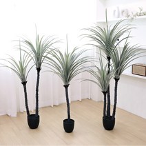 고급 인조나무 조화화분 드라세나 드라코 3size, 드라세나 드라코 150cm, 1개