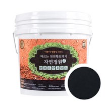 바른황토 바르는 천연 황토 편백 벽지 페인트 자연정원, 참숯, 12kg