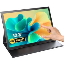 에비크 29.3cm 12.3인치 멀티터치 FHD DEX 포터블 HDR 휴대용 모니터 123B02