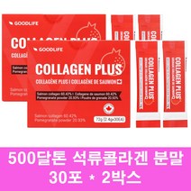 저분자 어류 피쉬 콜라겐 가루 연어콜라겐 펩타이드 500달톤 먹는 엘라스틴 히알루론산 석류 수용성 비타민c 프랑스엘라스틴, 2박스