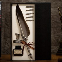 캘리그라피 연습 깃펜 깃털 펜 선물용 볼펜 깃팬 손글씨 디자인 감성 엔틱, 상품선택, 1-깃펜-그레이