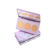 FV 컨실러 팔레트 프로페셔널 메이크업 페이스 아이 컨투어 스팟 다크 서클 코렉팅베이스 피부용, [01] FV Concealer