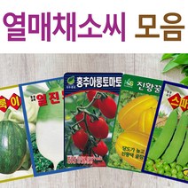 살아있는 씨앗 모음 열매씨앗 여주 우엉 박 토마토 참외 수박 오이 호박 가지 옥수수 깨 콩 팥 수수 밀 배추 양배추 열무 알타리 당근 무 비트 콜라비 고추 파프리카 종자, I-블랙밤단호박 x 1개, 1개