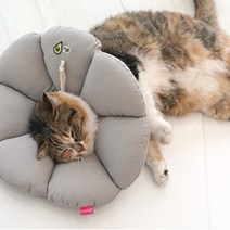 소형견용 수술 상처후 목보호 강아지넥카라 목보호대 강아지디스크 중성화수술 목카라