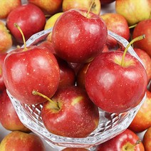 영천 햇 미니사과 한입 알프스오토메 산지배송, 1box, 미니사과2kg 특 30-40g