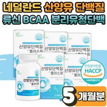 녹여 씹어 먹는 운동 헬스 건강 살찌는 보충제 단백질 정 류신 루신 루이신 뮤신 뉴신 알약 타블렛 프로틴 멸치탈출 보조제 BCAA 저분자 푸로틴 protein 학생 영양 5박스