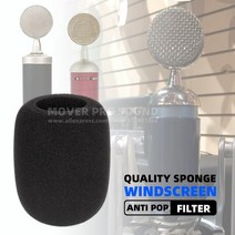팝필터 마이크팝필터 마이크 필터 for blue bluebird bird babybottle baby bottle spark sl 디지털 안티 팝 windscreen, 없음