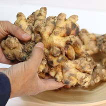 말린생강 국내산 건생강 300g