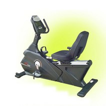 GX 헬스사이클 1300R 클럽용 좌식 자전거