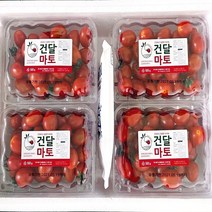 [바른팜] 스테비아 방울 토마토 건달마토 2팩 4팩 토망고 망고맛토, [건달마토] 스테비아 방울토마토 4팩 (총2kg)