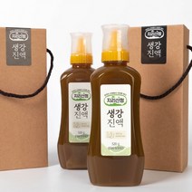 생강즙원액 생강원액스틱 지리산 520g 무농약 생강청, 생강스틱 12포
