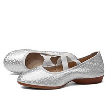 발레슈즈 토슈즈 성인 연습용 부드러운 가죽 여성 39s 재즈 댄스, 40, 실버