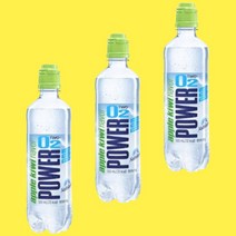 파워오투 애플키위맛 500ml 48페트