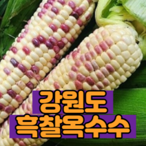 강원도 국내산 냉동 찐 흑찰옥수수 쫀득쫀득 특품 프리미엄 신선 특대사이즈 12개 알록달록 얼룩이 삶은 옥수수, 13cm