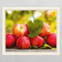 ci901-재물을부르는사과_창문그림액자, C타입-엘레강스골드