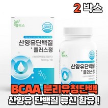 산양유 단백질 류신 뉴신 유신 가루 분말 유청칼슘 정 bcaa 로이신 타블렛 중장년 여성 남성 부모님 goat milk 50대 60대 40대