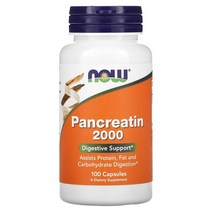 나우푸드 판크레아틴 200mg 캡슐 100정, 100캡슐, 1통