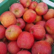 못난이사과 경북사과 부사사과 가정용 5kg 10kg, 1개