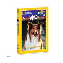 [내셔널지오그래픽 DVD] 개와 고양이에 관한 진실 (Hot Dogs & Cool Cats DVD)