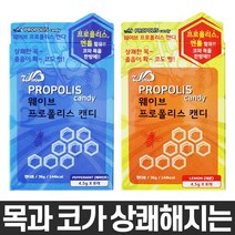 웨이브 프로폴리스캔디(페퍼민트/레몬맛) 8정 x 5통 목건강 목캔디 목앤코 캔디, 페퍼민트맛 5개(4.5g X 40개입)