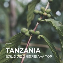 [생두] 탄자니아 기고마 세렝게티 AAA TOP 10kg