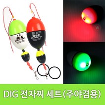 전자 구멍찌세트 면사부터 도래까지 릴낚시 반유동 채비 바다낚시 채비, 0.8, green