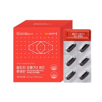 비타민마을 라이프메가 알티지 오메가3 위드 루테인 1박스, 60캡슐