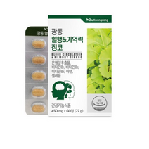 광동 혈행&기억력 징코, 60정, 1개