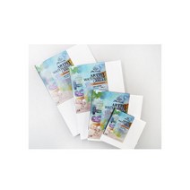 피닉스 수채 정사각형 캔버스 15x15cm