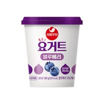 서울우유 요거트 380g 블루베리 6개 학교 카페 관공서 어린이집 아이들 간식
