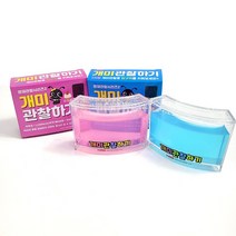 3차원 개미 관찰 키트 특수젤 앤트 하우스 집 키우기 터널 곤충 체험학습 기르기 놀이 장난감, 랜덤