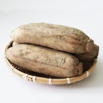 후니팜 햇연근 국산 흙연근 특품 하품 1kg 3kg 5kg 10kg