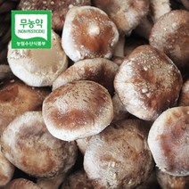 두메골농원 영양 무농약 버섯 착한 송이 500g 가정용, 1개