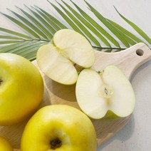 시나노 골드 가정용 쥬스용 못난이 시나노사과, 중소과~중과 17-22과 / 5kg, 1개, 5kg