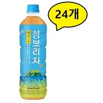 기타 쟈뎅 제주의 봄 청보리차 500ml x 12pet, 2세트