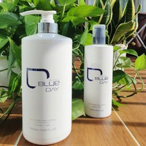 더트블로 남성 올인원 대용량 스킨로션, 500ml, 에센스타입(DUSK)