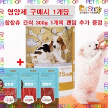 데이스포 에이치시리즈 강아지영양제 500g, 장 건강, 2개
