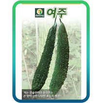연두네씨앗 여주10립 여주씨, 1개