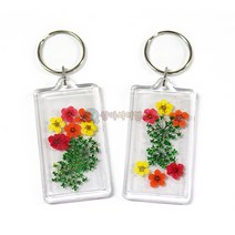 생화로 만드는 압화 열쇠고리 만들기(5인세트) RSA, 999