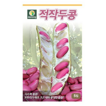 적작두콩 씨앗 30립 OK, 2개