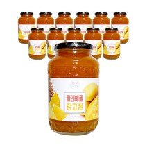 초록원 파인애플 망고잼 1KG, 12개