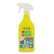 에어프라이기 세정 뿌려쓰는 주방세제 피부보호 가정, LG자연퐁 뿌려쓰는주방세제500ml 레몬향