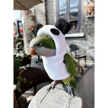 앵무새 옷 코뉴어 새 모란 겨울 털 귀여운 따뜻한 니트 기모 두꺼운 화이트 귀달이, 앵무새종류 배송요청에 적어주세요., 팬더 두꺼운 양털 원피스 똥 주머니