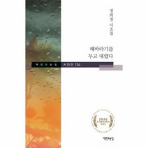해바라기를 두고 내렸다 154 책만드는집시인선, 상품명