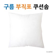 구름 실크 쿠션솜l 쿠션 l 압축포장 l 쿠션솜45 PTH, 유화쿠션커버(브라운)