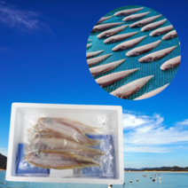 먹사부 [자연해풍] 군산 반건조 박대 서대 박대구이 구이용 조림용 반건조 생선 통영 중 대 왕 특대 1마리 3미 5마리 10마리 간편 진공포장, E. 특대박대 36cm내외 (1미), 9개