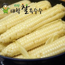 [가을생물 옥수수-예약중] 2023년 햇거 특A품 괴산대학찰옥수수 냉동/햇생물 2가지, 20개입, 햇괴산찰옥수수 생물  특품_알이꽉
