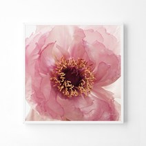 풍수아트 12.M 투명레드 | 캔버스액자 중형12호 [50x50cm]