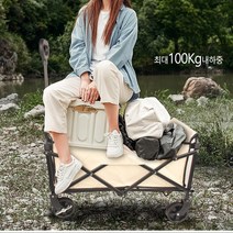 Roomxyd 캠핑웨건 캠핑웨건 대용량 접이식 캠핑카트, 블랙, 1개