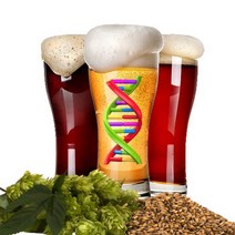 Austin Homebrew Clone Recipe Live Oak Big Bark (3A) - MINI MASH, 1